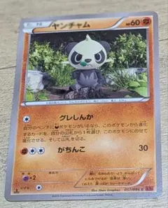 ヤンチャム ポケモンカード プロモ ポケモンパン XY 206/XY-P - メルカリ