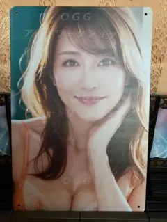 OGGアートワークショップ 女性グラビアタレント ブリキ・プレート