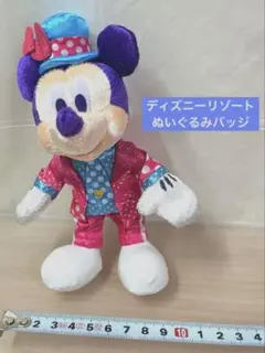 ミッキー　パルパル　パルパルーザ　ミニー　ファンダーランド　ぬいぐるみバッジ