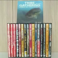 ジャンク　バス釣り　バス　付録　DVD　17枚セット　フィッシング　★3