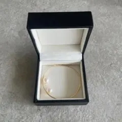 Item thumbnail for item be61ade0-d5c7-40b7-bdc0-27fc98215de8