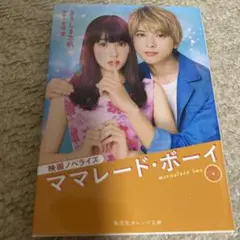 ママレード・ボーイ 映画ノベライズ