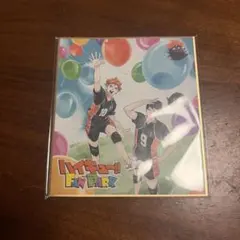 ハイキュー!! FAN PARK ミニ色紙 日向翔陽 影山飛雄