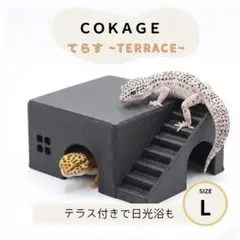Pino様 ウェット予定【爬虫類シェルター てらす L】 黒色 Pino様 ウェット【COKAGE爬虫類シェルター てらす L】 黒色 - メルカリ