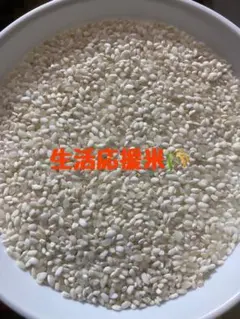 再入荷令和7年「生活応援米」白米10㎏ 数量限定！！⚠︎茶色のお米が入ってます！のサムネイル