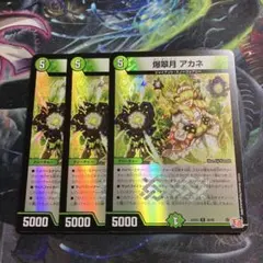 3枚　アドレナリン　爆翠月アカネ ホイル デュエルマスターズ　デュエマ