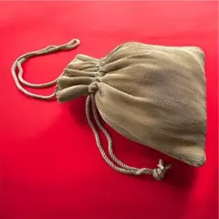 ZARA 巾着バック　レディース