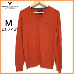 AEO アメリカンイーグル　ニット　セーター　メンズ　Vネック　M（USサイズ）