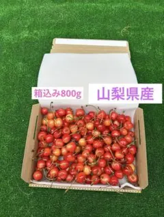 a109フルーツ王国 山梨県産 佐藤錦 さくらんぼ 家庭用 箱込み800