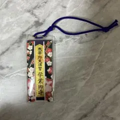 Item thumbnail for item 06c04b29-a3be-4804-a75d-954285924ac8