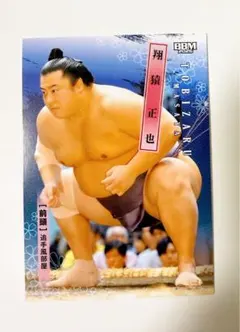 Item thumbnail for item c9efab69-07f0-4ee0-b23f-0f33785aada5