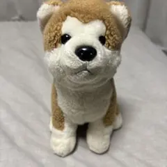 Item thumbnail for item a0ac07a8-c45e-45af-b7f6-8f52ea435a04