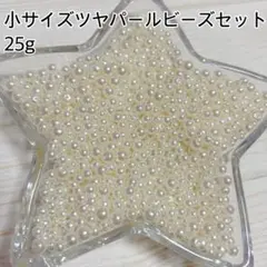 小サイズツヤパールビーズセット 25g