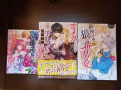 小説3冊セット　ノーチェ　メリッサ　マーマレード文庫