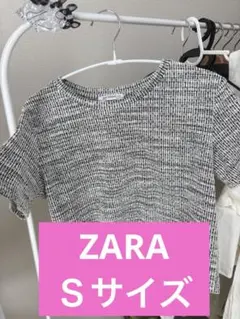 ZARA TRAFALUC 半袖 クロップド丈 トップス Sのサムネイル