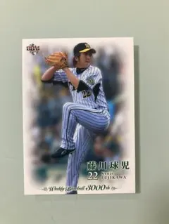 週刊ベースボール特別付録3000号記念カード12種類コンプリートセット 2026年最新】週刊ベースボール3000号記念特別付録カードの人気アイテム