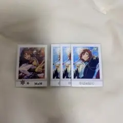三毛縞斑 ぱしゃこれ ぱしゃっつ まとめ売り - メルカリ