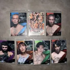 RIZIN ウエハース 25 シークレット sec No.35 朝倉未来　その他