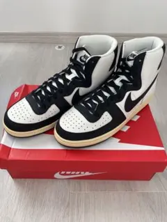 Nike Terminator High "Black and Phantom"のサムネイル