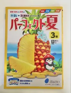 パーフェクト夏 3年　　国語・算数・理科・社会