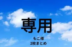 もこ様 リクエスト 2点 まとめ商品