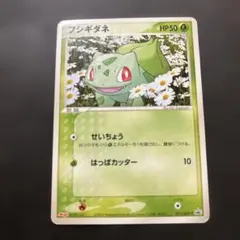 フシギダネ PROMO ADV-Pプロモカード 051/ADV-Pのサムネイル