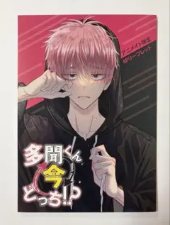 多聞くん今どっち！？　アニメイト限定3巻特典　4Pリーフレット