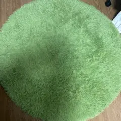 ラグ 円形 カーペット 洗える防ダニ 滑り止め付き 直径120cm グリーン