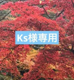 SONY PSP 2000 / 3000用 バッテリーS110 PSE取得済