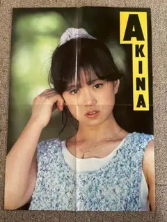 中森明菜 カラーポート B5サイズ 明星付録 - メルカリ