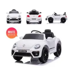 Item thumbnail for item 5f147a55-2dd2-4ad1-9178-e6c107f05404