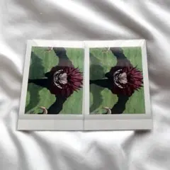 僕のヒーローアカデミア ユアネクスト ぱしゃこれ 切島鋭児郎