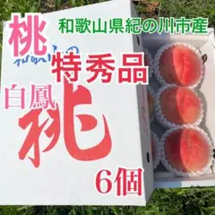 桃(白鳳￼)特秀 大玉6個 2kg箱仕様￼(60サイズ箱) - メルカリ