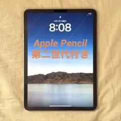 iPad Pro 11インチ 第一世代 64GB ApplePencil付き