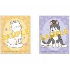 2026年最新】二哈和他的白猫師尊 特装版の人気アイテム - メルカリ