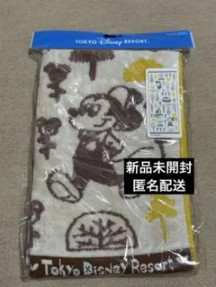 東京ディズニーリゾート★ミッキー★ドナルド★フェイスタオル★新品未開封