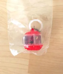 仮面ライダーめじるしアクセサリー3 インパクトカプセム