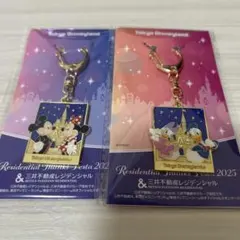 東京ディズニーランド キーホルダー 2025