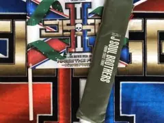 三代目　RAISE THE FLAG FC限定ライブ　フラグ、フラグケースセット