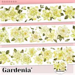 Item thumbnail for item 6641119a-4611-414a-8ee4-069418dc49a0