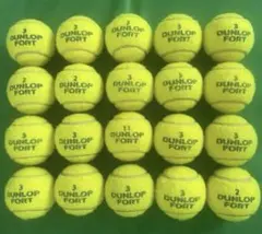 Item thumbnail for item b1847dc1-f6b0-4d6a-8e81-4cdec6733e3c