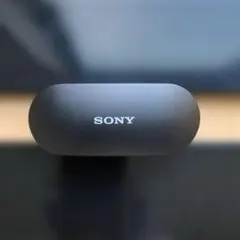 ソニー 完全ワイヤレスノイズキャンセリングイ ヤホン WF-SP800N