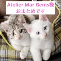 Atelier Mar Gems様 リクエスト 4点 まとめ商品