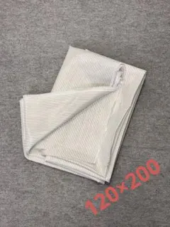 裏地　ストライプ柄