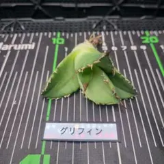 クロ様 リクエスト 5点 まとめ商品