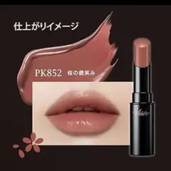 ネンマクフェイクルージュ　VISEE ヴィセ　PK852