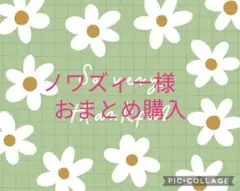 ノワズィー様 リクエスト 2点 まとめ商品