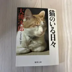 Item thumbnail for item e4fdb0f5-b54e-4f37-b011-8a6260527b82