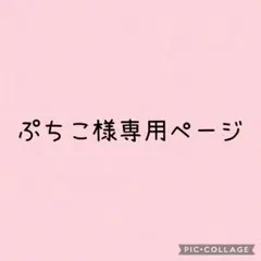 ぷちこ様専用