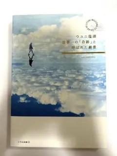 ウユニ塩湖 世界一の「奇跡」と呼ばれた景観